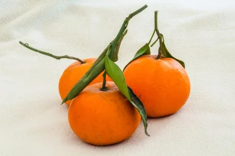 Three oranges Stock Photos