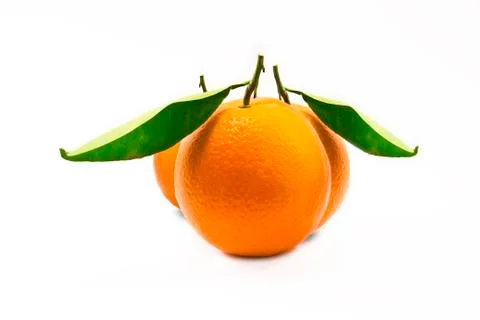 Three oranges on white background Stock Photos