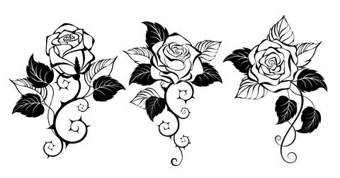 Three outline roses Stock Illustration