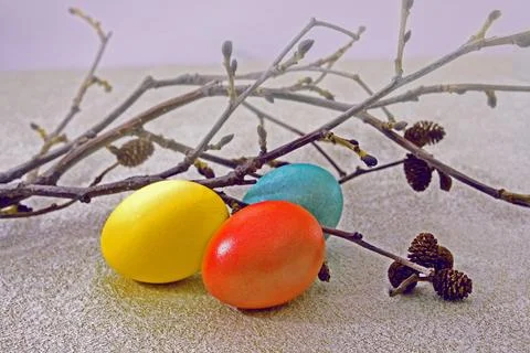 Three painted Easter eggs and branches of natural wood. The concept of the .. Stock Photos
