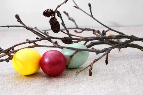 Three painted Easter eggs and branches of natural wood. The concept of the .. Stock Photos