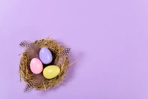 Three painted eggs lie in a nest on a purple background. The minimum composition Photos