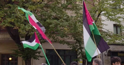 Three palestian flags fly in march protest Stock Footage 253027562