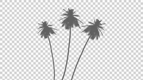 Three palm tree silhouettes isolated on transparent background イラスト素材