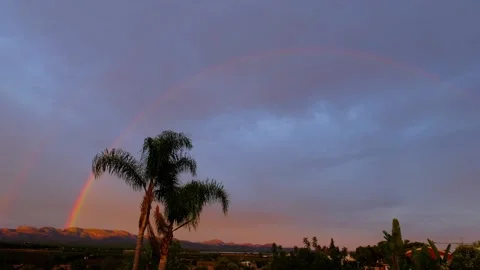 Three palm trees standing. Rainbow on the background. Video stock 224722324