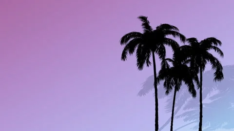 Three Palms Gradient Background Stock Footage 313789261
