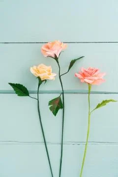 Three paper roses Stock Photos