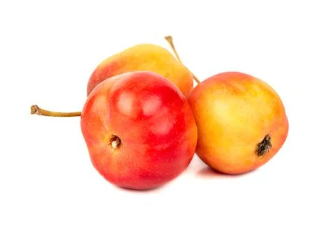 Three paradise apples Stock Photos