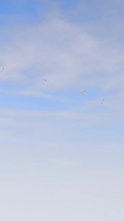 Three Paragliders Drifting Across Clear Blue Sky Stock Footage 336443024