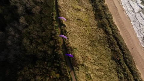 Three paragliders soaring above coastal path atop Zoutelande dune, high drone Video stock 296804034
