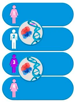 Three parent baby process, artwork Illustrazione stock