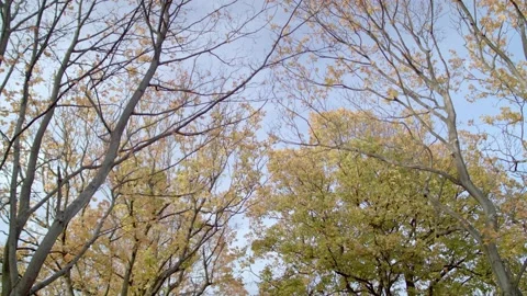 THREE IN THE PARK Video stock 167954366