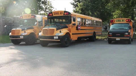 Three parked sharp yellow and black school buses with black stripes Video stock 246137270
