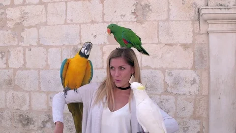 Three parrots sitting on young woman's arms and head Stock Footage 73685378