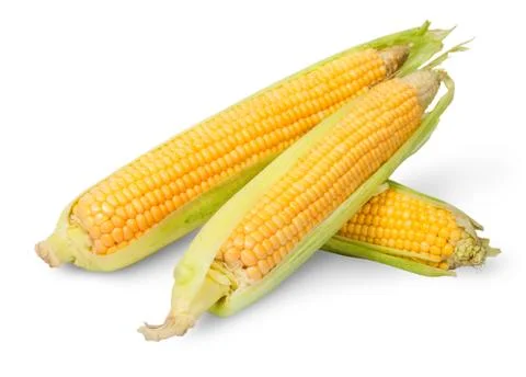 Three partially peeled corn cob lying cross Stock-Fotos