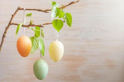 Three pastel color Easter eggs on branch of tree on vintage wood background Stock Photos
