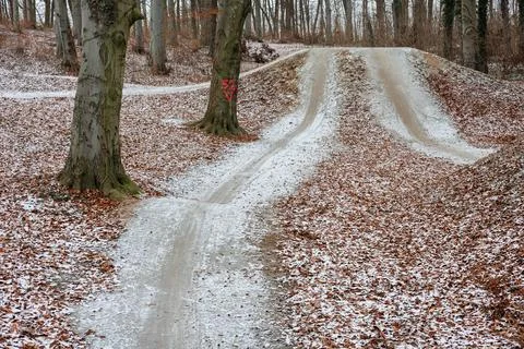 Three paths for cyclists in the city's winter park. Yellow foliage and snow. Stock Photos