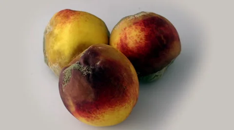 Three Peaches decaying over 10 seconds Shot B Stock Footage 3138952