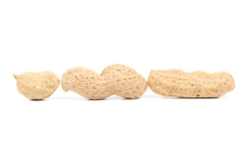 Three peanuts in shell Stock Photos