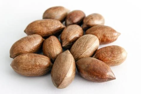 Three pecan nuts and, isolated on white background. Foto stock