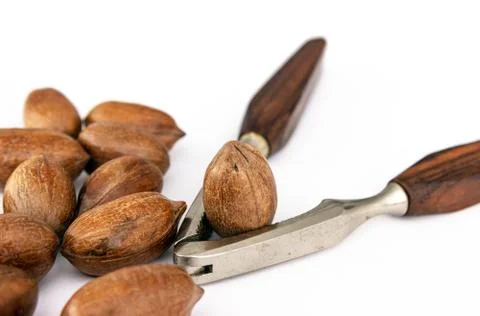 Three pecan nuts and nutcracker, isolated on white background. Stock Photos