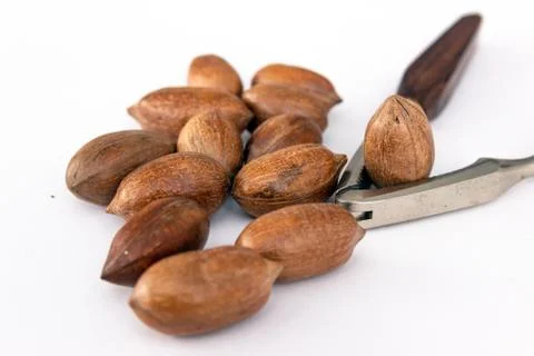 Three pecan nuts and nutcracker, isolated on white background. Stock Photos