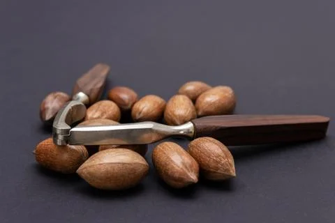 Three pecan nuts and nutcracker, isolated on white background. Stock Photos