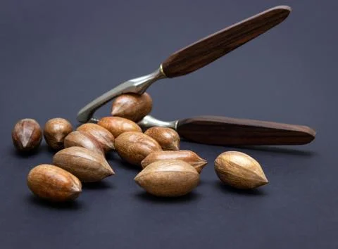 Three pecan nuts and nutcracker, isolated on white background. Stock Photos