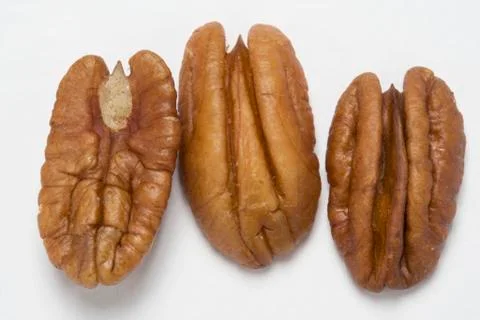 Three pecans Stock Photos