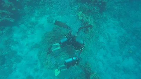 Three people diving in the sea Stock Footage 119637579
