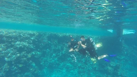 Three people diving in the sea Stock Footage 121383045