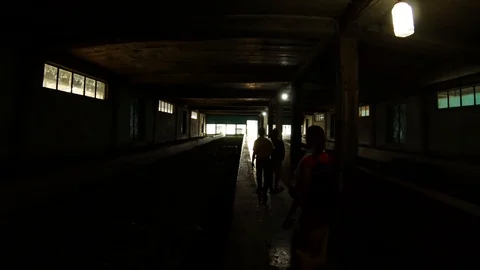 Three people go in between troughs with tea leaves in dark room girl touch dried Stock Footage 98757689