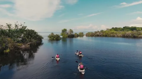Three People Kayaking Through the Amazon River Stock Footage 322130648