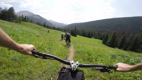 Three People Mountain Biking Through Meadow Of Flowers On A Sunny Day Video stock 114267756