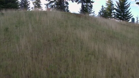 Three people playing golf Stock-Footage 76236463