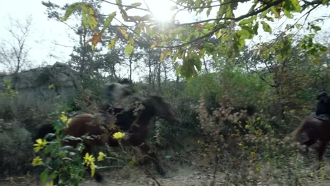 Three people riding in the mountains Stock Footage 235269850
