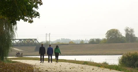 Three People Two Man and Woman are Walking by Asphalted Road in Park Alley Stock Footage 56070912