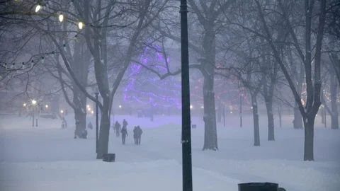 Three People Walking In Trees In Winter Stock Footage 112172544