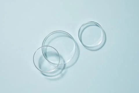 Three petri dish in blue background group 1 Stock Photos