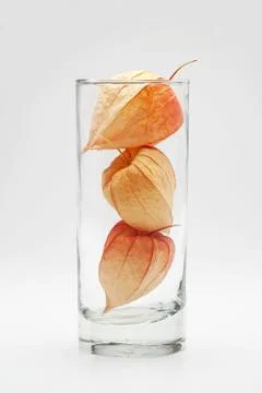 Three physalis in the glass Stock Photos