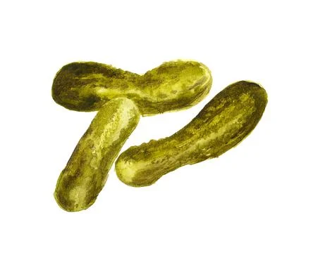 Three pickled cucumbers Stock Illustration