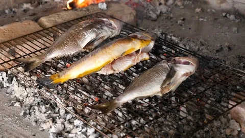 Three pieces of fish are baked on the grill Stock Footage 87647044