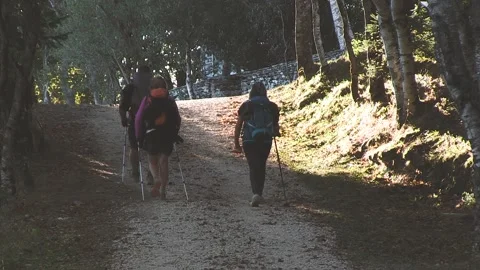 THREE PILGRIMS WALKING IN A PATH Stock Footage 96383628