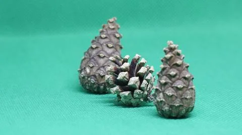 Three pine cones on a green background Stock Photos