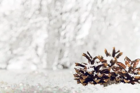 Three pine cones on snow Stock Photos
