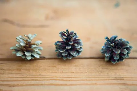 Three pine cones on the wooden background Stock Photos