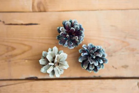 Three pine cones on the wooden background Stock Photos