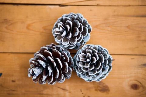 Three pine cones on the wooden background Stock Photos