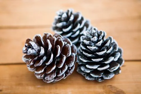 Three pine cones on the wooden background Stock Photos