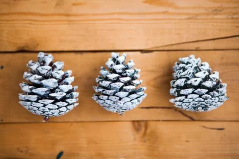 Three pine cones on the wooden background Stock Photos